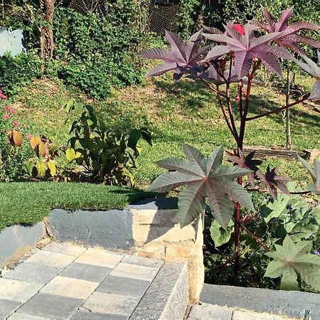 Вилла Au Fond Du Jardin Wintzenheim-Kochersberg Экстерьер фото
